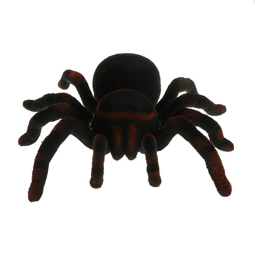 Enfants Mini Spider Toy jouets électroniques