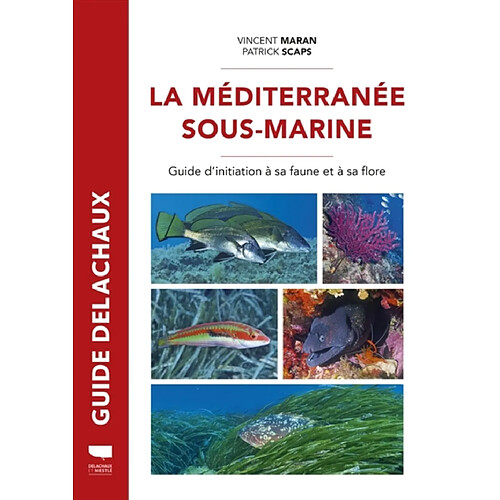 La Méditerranée sous-marine : guide d'initiation à sa faune et à sa flore