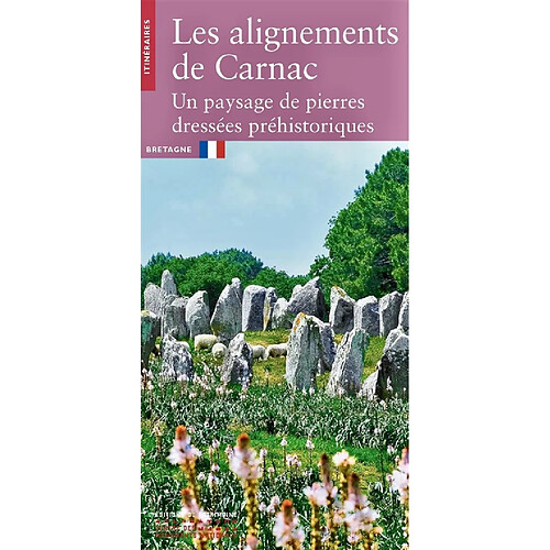 Les alignements de Carnac : un paysage de pierres dressées préhistoriques : Bretagne · Occasion