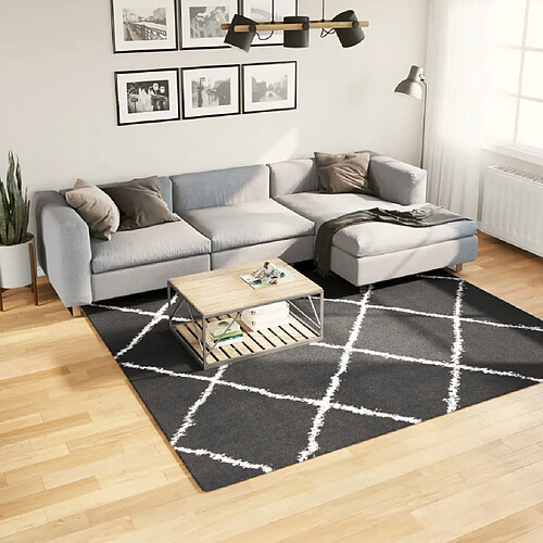 vidaXL Tapis shaggy à poils longs moderne noir et crème 240x240 cm