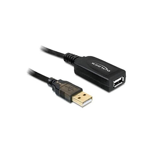 Câble de Rallonge DELOCK 82689 USB 2.0 15 m