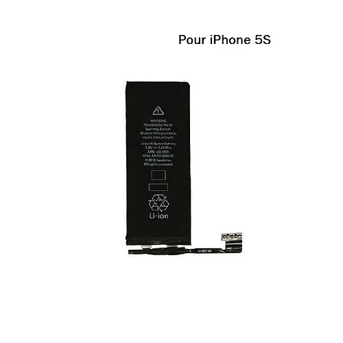 Hobbytech Batterie pour Apple iPhone 5S