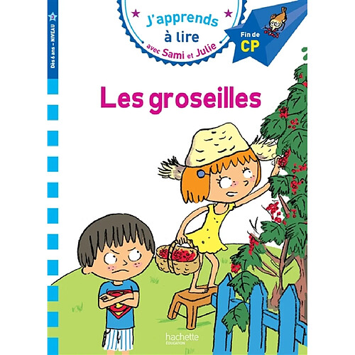 Les groseilles : niveau 3 · Occasion