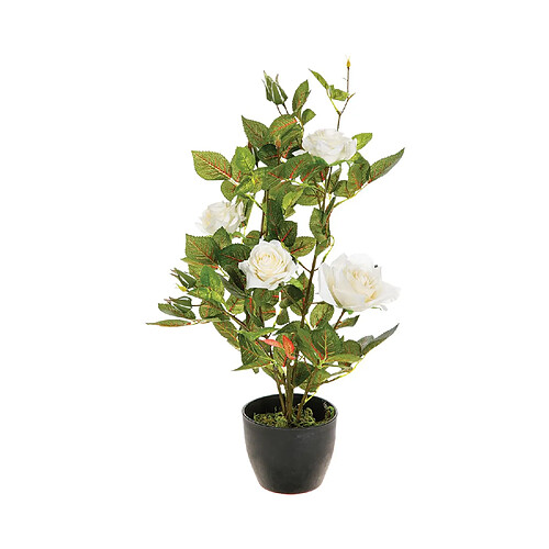 Atmosphera, Createur D'Interieur Rosier artificiel en pot - H. 50 cm - Blanc