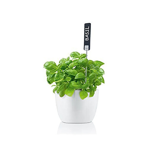 Blomus ``Planta Huile Signes Plante avec craie, Lot de 2