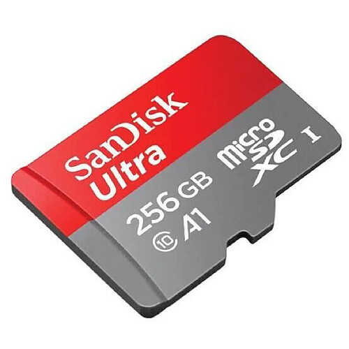 SanDisk Ultra 256Go Carte Mémoire Micro SD U1 A1 SDHC Vitesse de Lecture 98MB-S, Classe 10