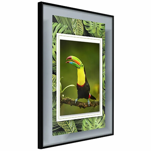 Paris Prix Affiche Murale Encadrée Toucan in the Frame 20 x 30 cm Noir