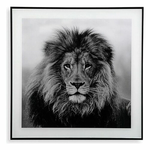 Cadre Versa Lion Verre (2 x 50 x 50 cm)