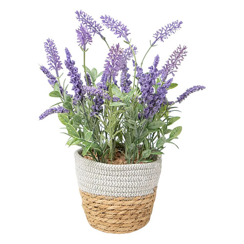 Plante décorative Romimex Plastique Fibre Lavande 15 x 38 x 15 cm