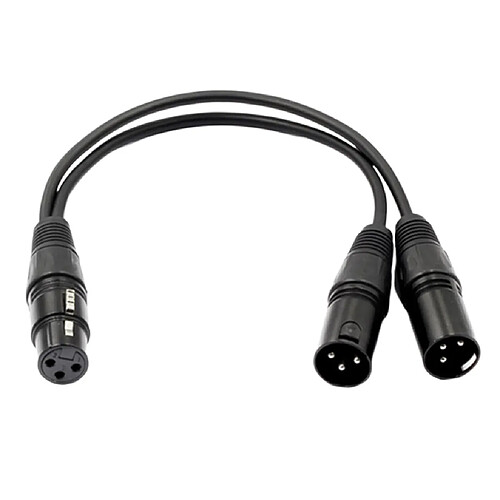 Câble d\'extension audio Cordon Y