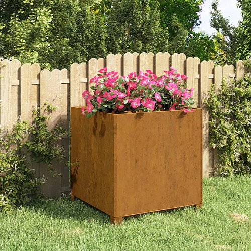 vidaXL Jardinière avec pieds Rouillé 49x47x50 cm Acier corten