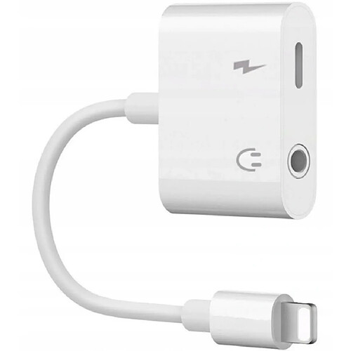 GUPBOO Adaptateur Lightning Jack iPhone 7 8X,JL799