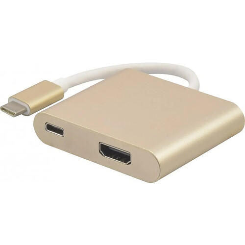 Abi Diffusion Adaptateur USB 3.1 type-C vers HDMI 2.0 + charge par Type-C