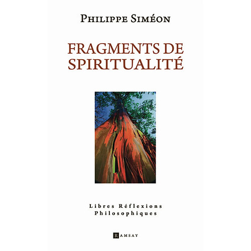 Fragments de spiritualité : libres réflexions philosophiques · Occasion