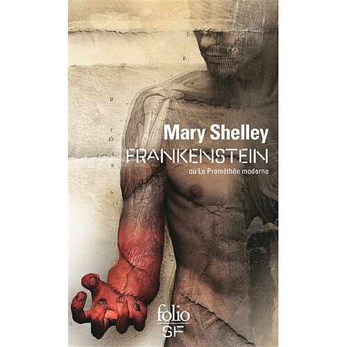 Frankenstein ou Le Prométhée moderne · Occasion