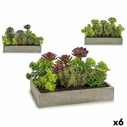 Ibergarden Plante décorative Succulent Plastique Ciment 16,5 x 20 x 28,5 cm (6 Unités)