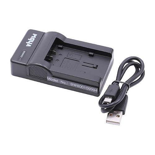 vhbw Chargeur USB de batterie compatible avec Panasonic HC-W570, HC-WX979, HC-V210, HC-V510 batterie appareil photo digital, DSLR, action cam