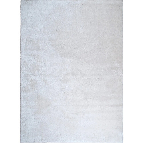 Thedecofactory TENDREMENT - Tapis extra doux en polyester blanc 160x220