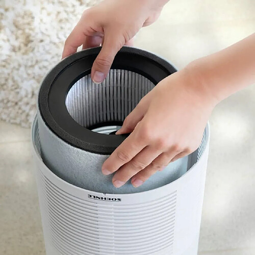 Soehnle Filtre de purificateur d'air pour Airfresh Clean 400