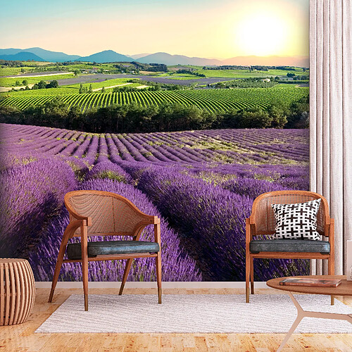 Artgeist Papier peint - Lavender Field [450x315]