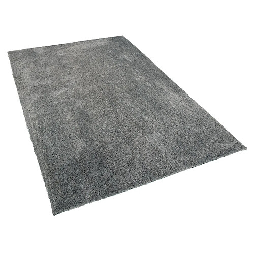 Beliani Tapis 200 x 300 cm gris EVREN