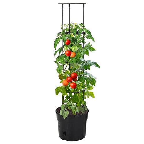 Maison Chic Jardinière,Bac à fleurs - pot de fleur à tomate Anthracite Ø29,5x115 cm Polypropylène -GKD89254