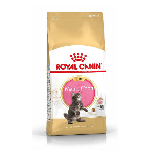 Royal Canin Race Maine Coon Kitten