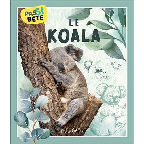 Le koala · Occasion