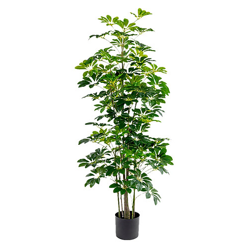 Plante décorative Alexandra House Living Plastique Schefflera 155 cm