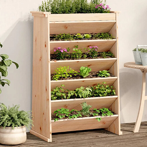 vidaXL Jardinière de plantes aromatiques 6 niveaux bois de pin massif