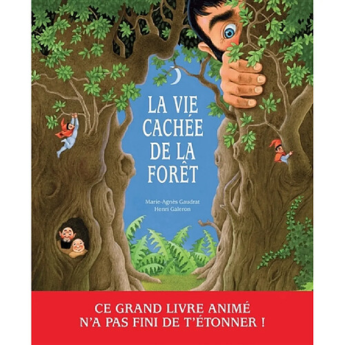 La vie cachée de la forêt