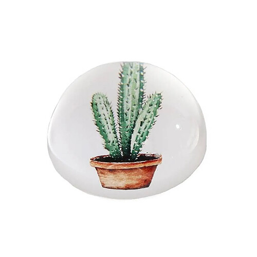 L'Héritier Du Temps Presse Papier Boule de Sulfure Motif Imprimé Cactus Décoration Ronde de Bureau en Verre 4x8x8cm