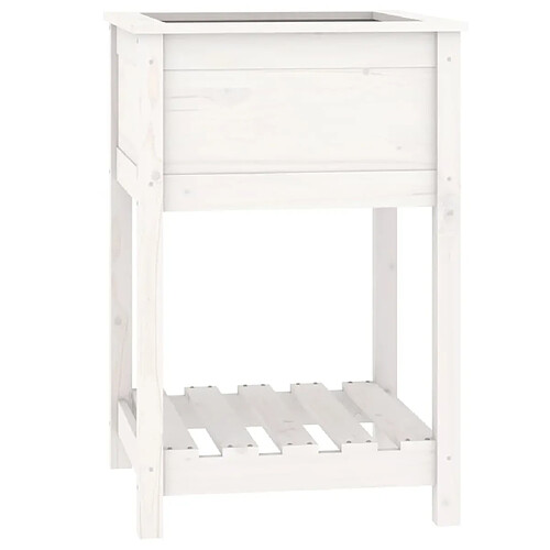 Maison Chic Jardinière,Bac à fleurs - pot de fleur avec étagère Blanc 54x54x81 cm Bois massif de pin -GKD25256