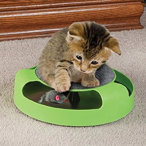 Wewoo Jouet pour Animaux Le plastique de chat d'approvisionnements d'animal familier attrapent les jouets interactifs de plate-forme de souris