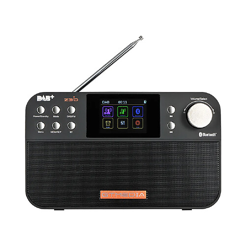 Universal Radio portable FM DAB, haut-parleur radio multibande stéréo/RDS, avec écran à cristaux liquides, réveil, prise en charge de la carte SD TF