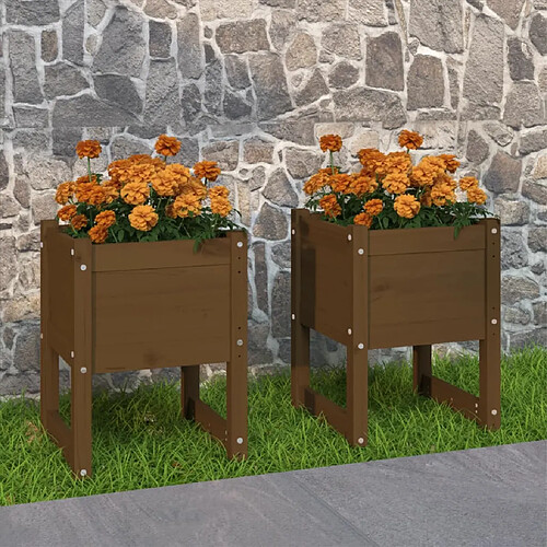 vidaXL Jardinières 2 pcs Marron miel 40x40x52,5 cm Bois massif de pin