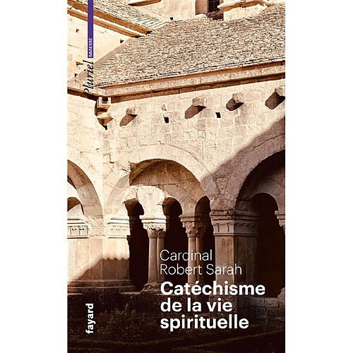 Catéchisme de la vie spirituelle · Occasion