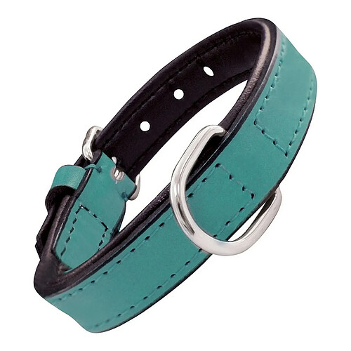 Collier pour Chien Gloria Rembourré Turquoise (40 x 2 cm)