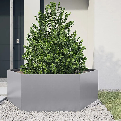 vidaXL Jardinière hexagone 138x120x45 cm acier galvanisé