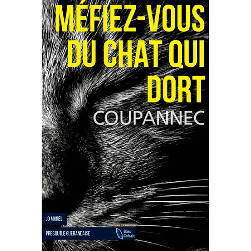 Jo Morel. Méfiez-vous du chat qui dort : presqu'île guérandaise · Occasion