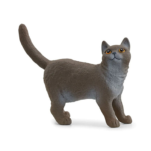 13973 Figurine Chat British shorthair - Schleich