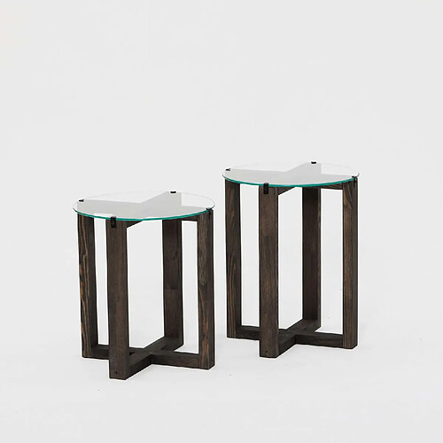 Toilinux Lot de 2 tables d'appoint Galadron en verre et bois - Transparent et gris foncé