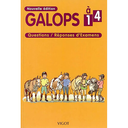 Galops 1 à 4 : questions-réponses d'examens · Occasion