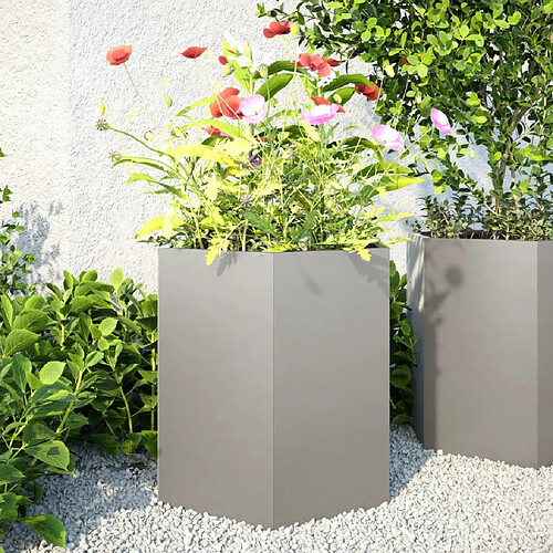 vidaXL Jardinières 2 pcs hexagone 46x40x45 cm acier inoxydable