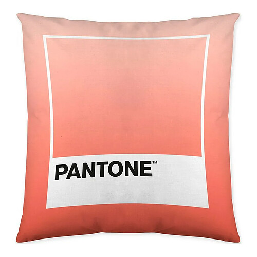 Pantone Housse de coussin Ombre B Réversible (50 x 50 cm)