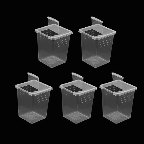 Reptile Spider Breeding Box Container Case Hatching Tank 5Pcs