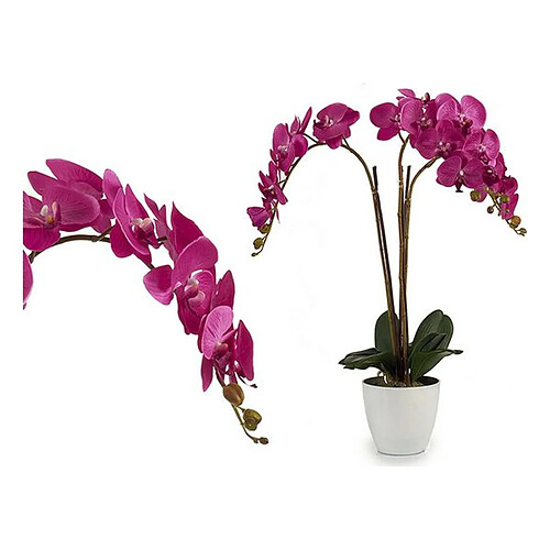 Pot Fuchsia Blanche (44 x 88 x 60 cm)