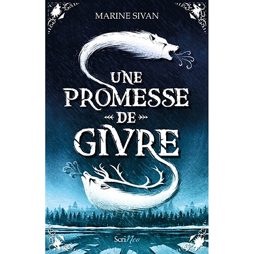 Une promesse de givre · Occasion