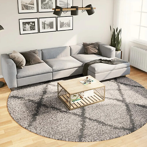 vidaXL Tapis shaggy à poils longs moderne beige et anthracite Ø 280 cm