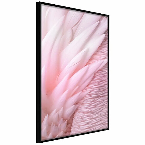 Paris Prix Affiche Murale Encadrée Pink Feathers 30 x 45 cm Noir